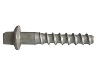 rail screw spike